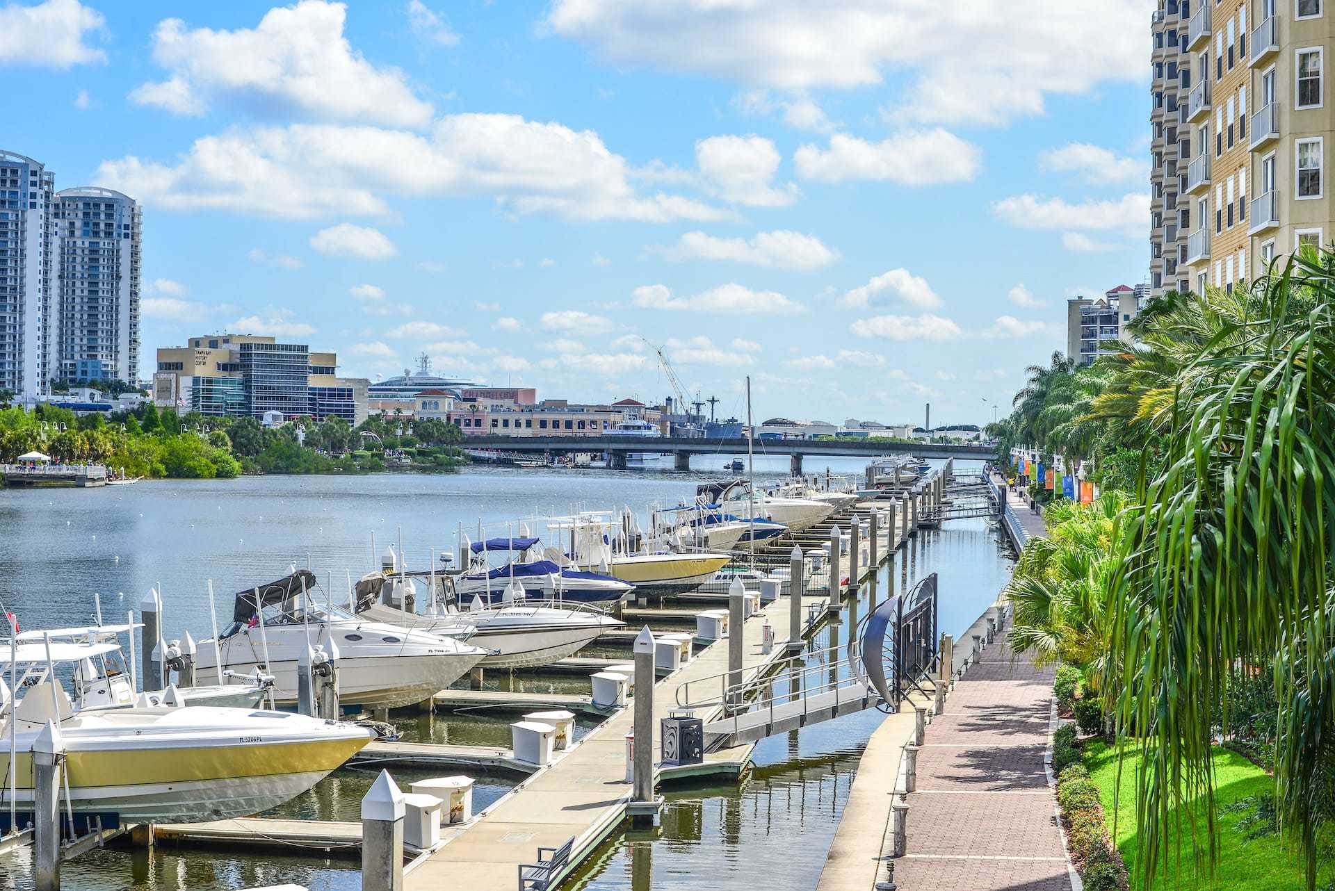 Downtown Tampa Activity